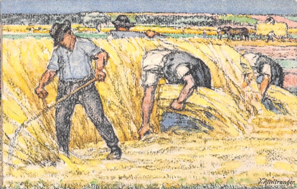 Bundesfeierkarte Nr.29, Entwertet, Kat. 90.-