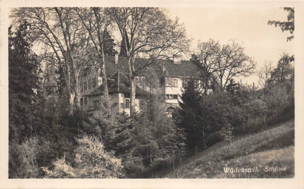 Wädenswil, Schloss