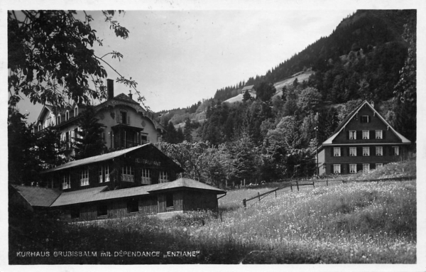Vitznau, Kurhaus Grubisbalm mit Dépendance Enziane