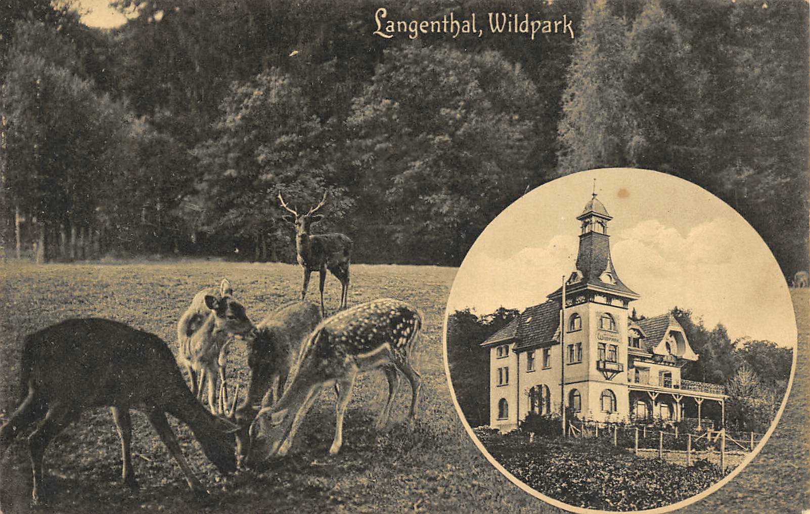Langenthal, Wildpark