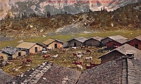 Sporer Alp bei Lindauer Hütte