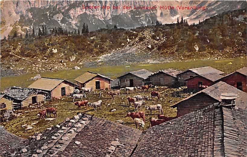 Sporer Alp bei Lindauer Hütte