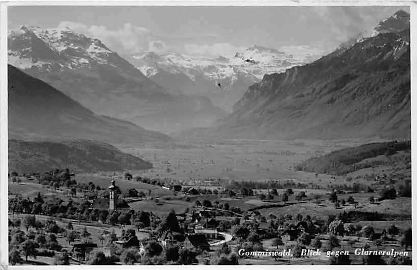 Gommiswald, Blick gegen Glarneralpen