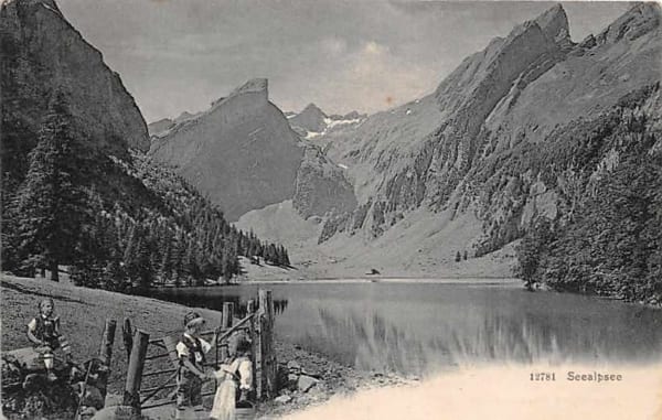 Seealpsee, belebt