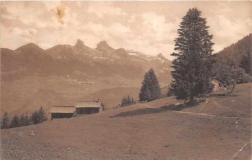 Les Ecovets, vue sur Leysin