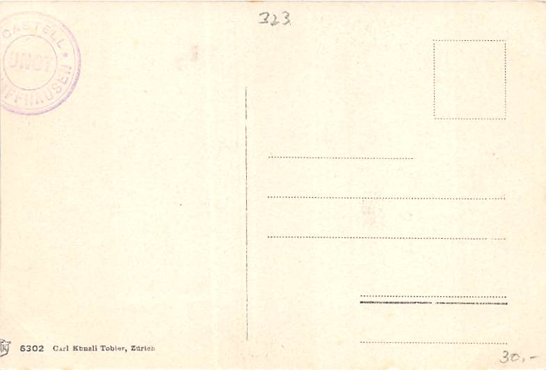 Schaffhausen, Munot, Wachtturm