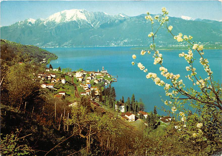 TI - Vira, Gambarogno