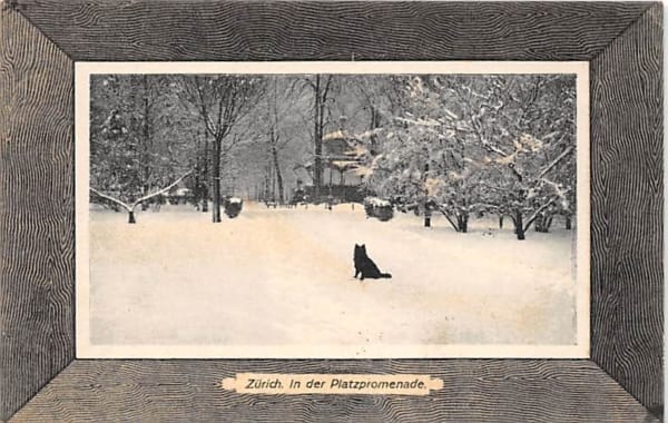 Zürich, in der Platzpromenade