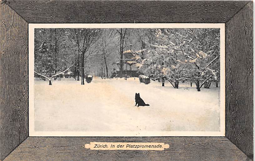 Zürich, in der Platzpromenade