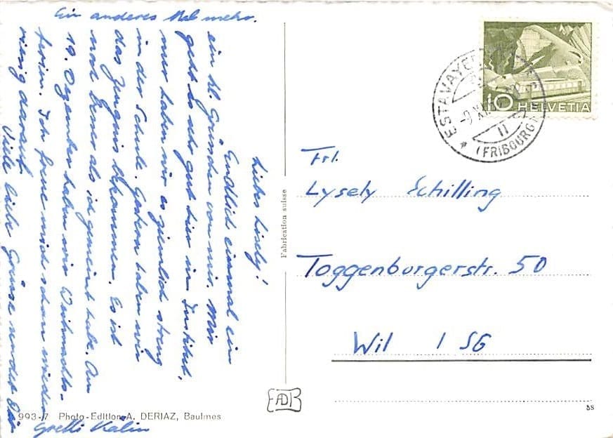 Estavayer-le-Lac, Flugaufnahme