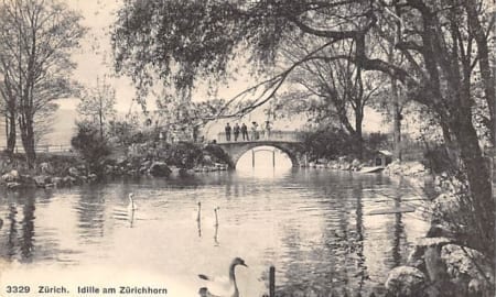 Zürich, Idylle am Zürichhorn, Schwäne