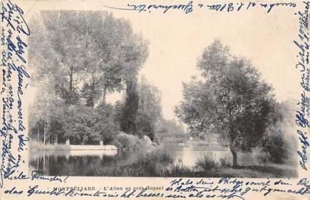 Montbéliard, L'Allau au pres Goguel