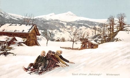 Bobfahrer, Wintersport, Bohsleigh