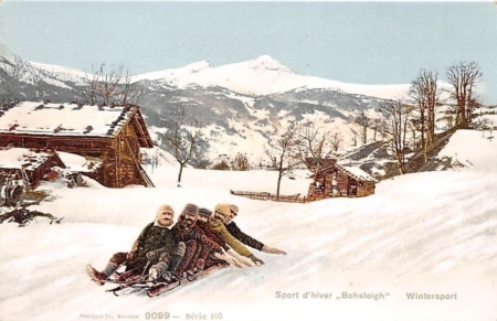 Bobfahrer, Wintersport, Bohsleigh