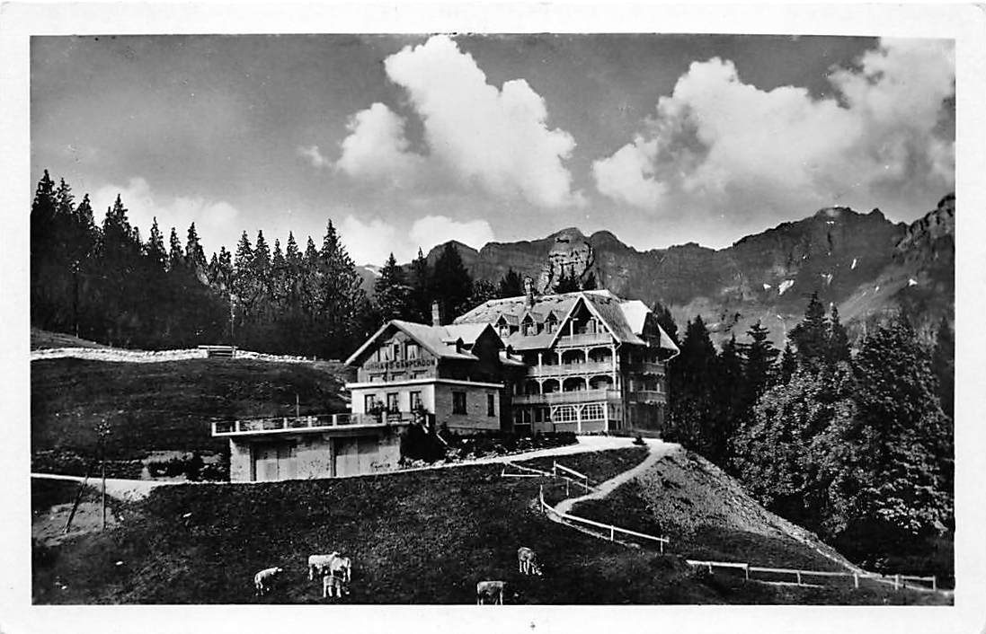Flumserberg, Hotel Gamperdon