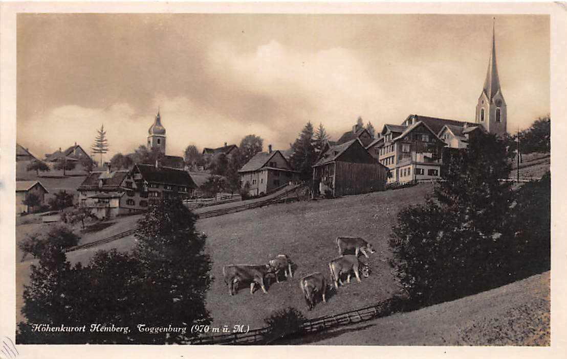 Hemberg, Kühe im Vordergrund