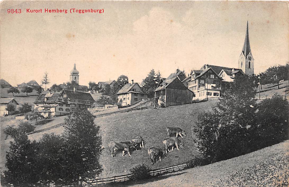 Hemberg, Kühe im Vordergrund