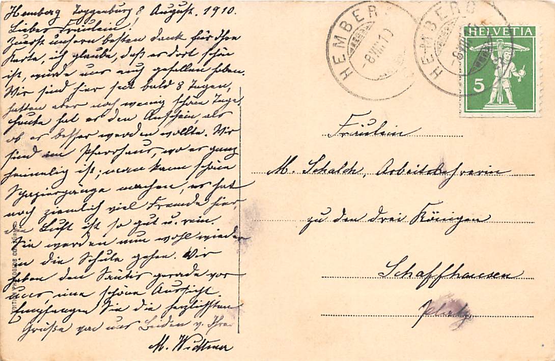 Hemberg, Kühe im Vordergrund