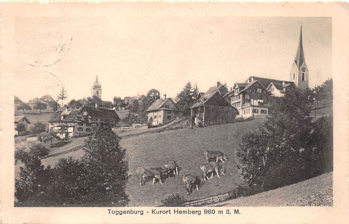 Hemberg, Kühe im Vordergrund