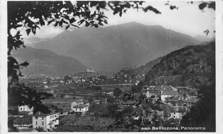 Bellinzona, Panorama