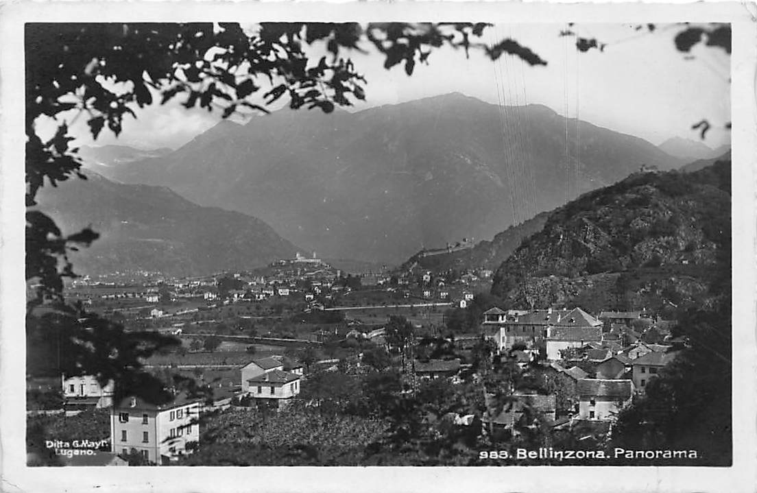 Bellinzona, Panorama
