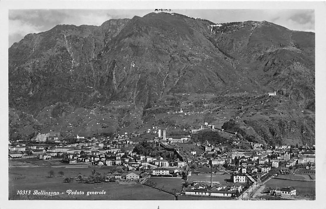 Bellinzona, Veduta generale