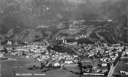 Bellinzona, Panorama