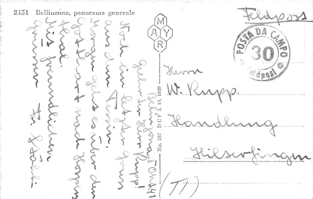 Bellinzona, Panorama generale