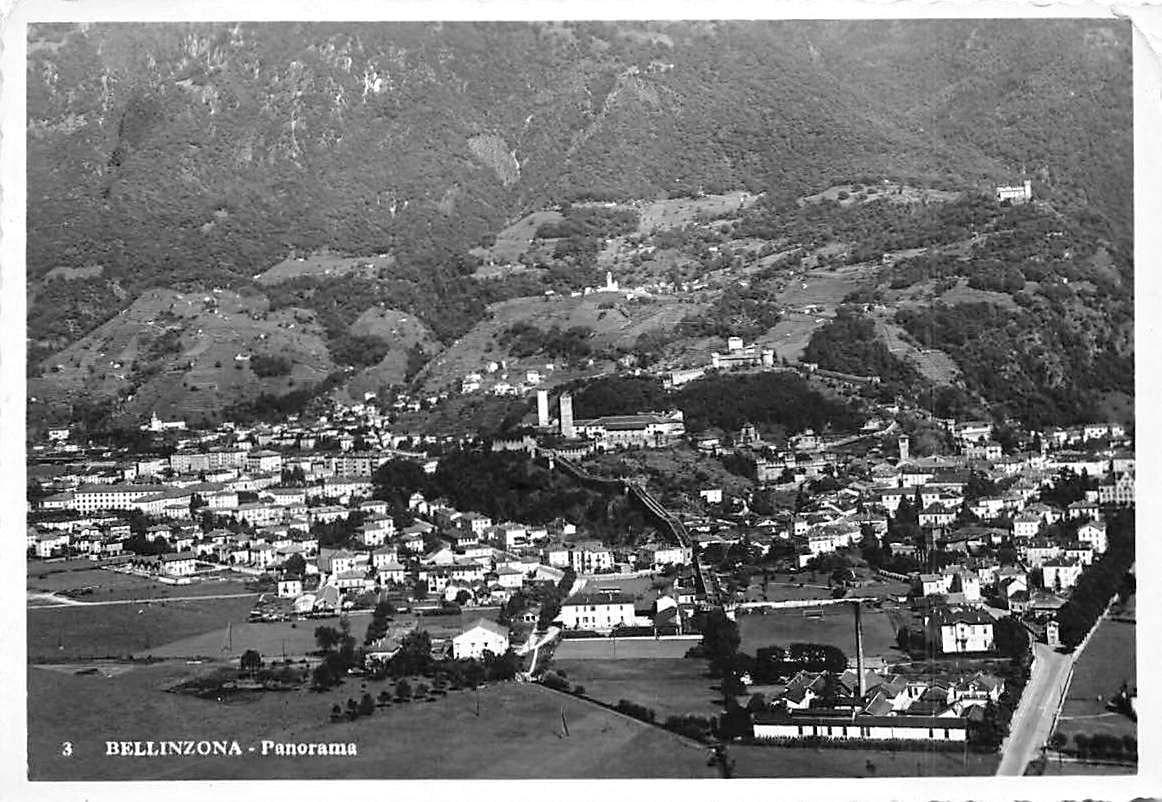 Bellinzona, Panorama