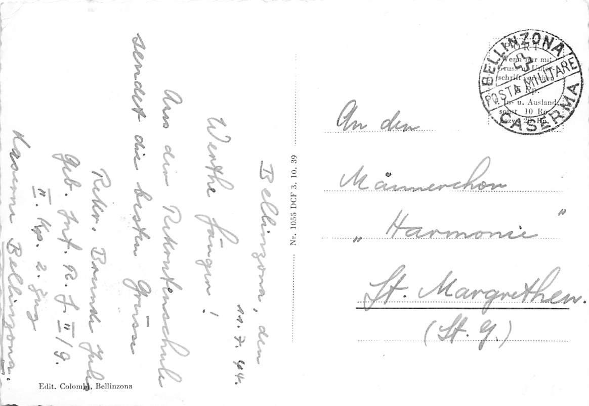 Bellinzona, Panorama