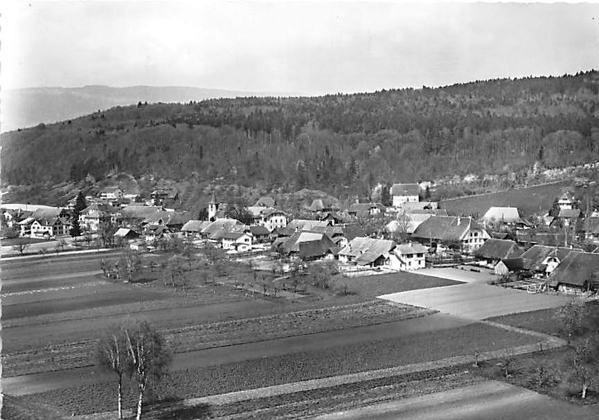 Gampelen, Flugaufnahme