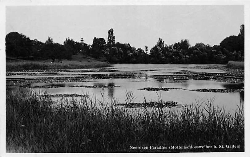Untereggen, Möttelischlossweiher