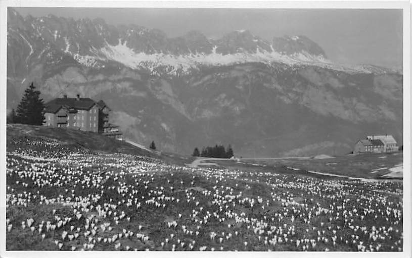 Tannenboden, Hotels Alpina