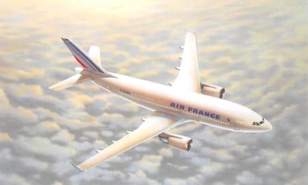 Airbus A310-300, Air France