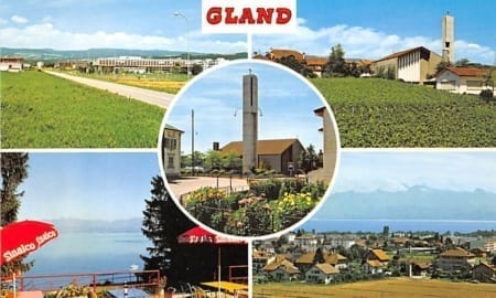 VD - Gland