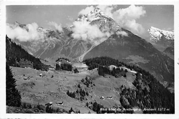 Arniberg, Arniseeli