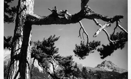 Nationalpark, Ofenberg, Piz Jl Fuorn