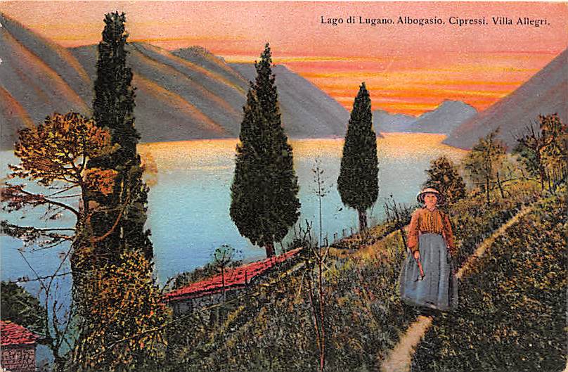Albogasio, Cipressi, Villa Allegri, Lago di Lugano