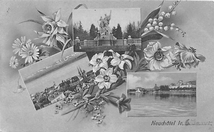 Neuenburg, Mehrbildkarte