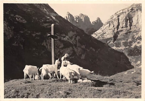 Furgglenalp, Knabe mit Ziegen