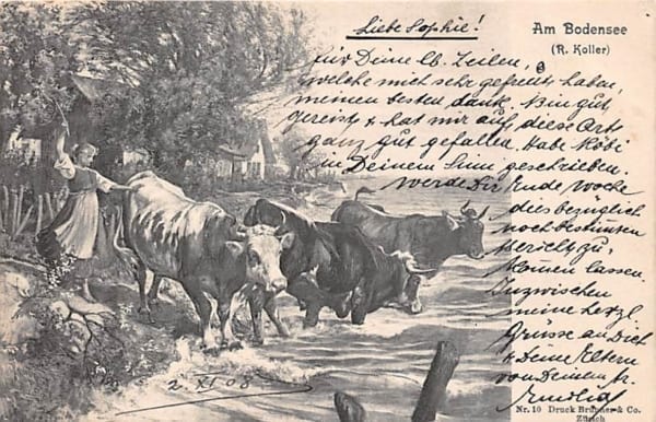 R.Koller, Dorfbach, Kühe, Pferde