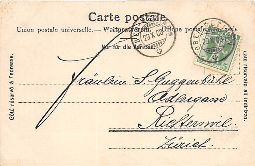 R.Koller, Heimkehr am Abend, Kühe, Pferde