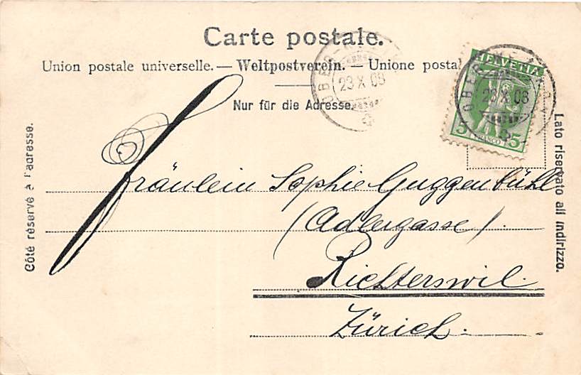 R.Koller, Am Bodensee, Kühe