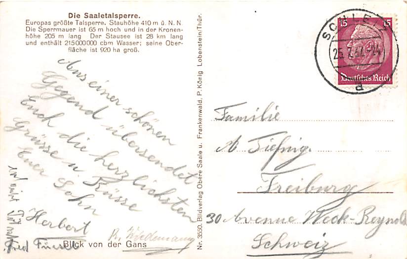 Saaletalsperre, Blick von der Gans