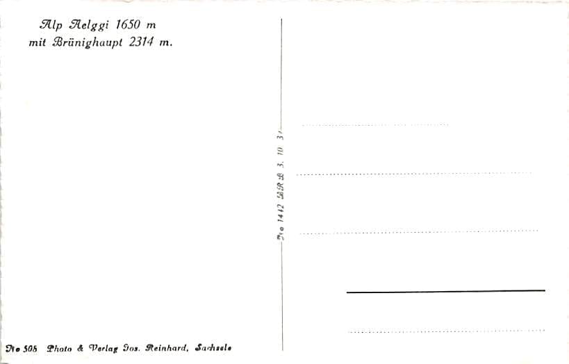 Alp Aelggi, Brünighaupt