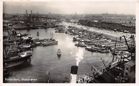 Rotterdam, Maashaven