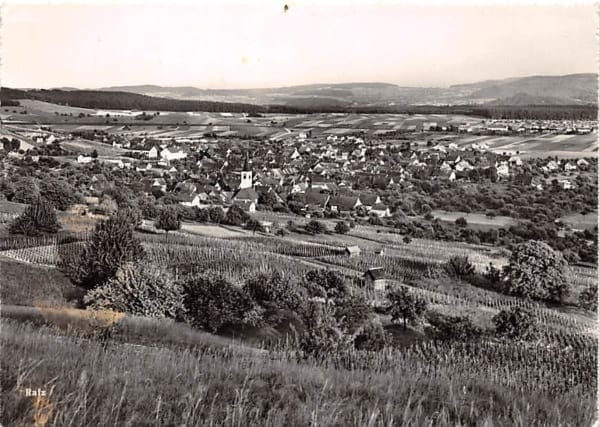 Rafz