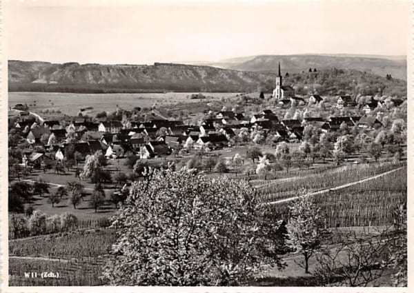 Wil ZH