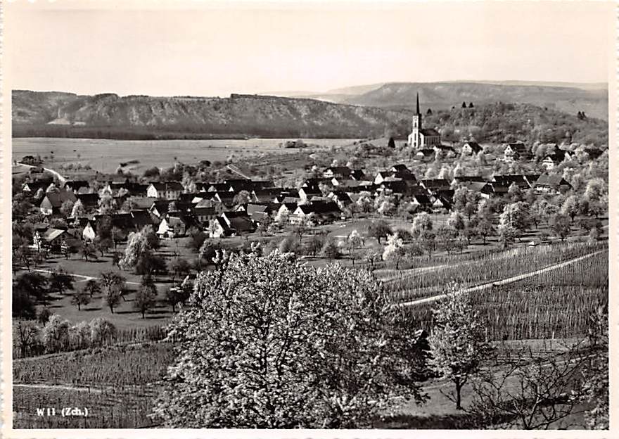 Wil ZH