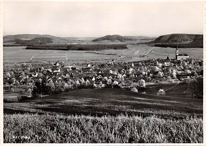 Wil ZH